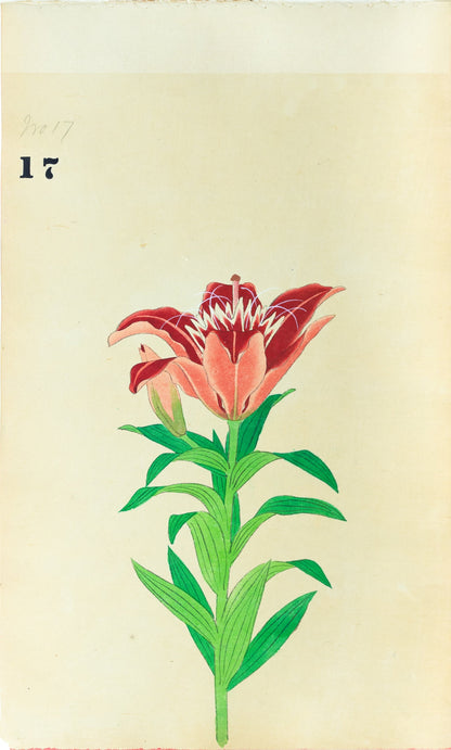 JAPANESE (Late 19th Century) - Lilies 17
