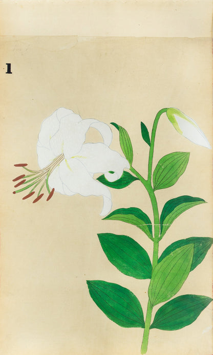 JAPANESE (Late 19th Century) - Lilies 1
