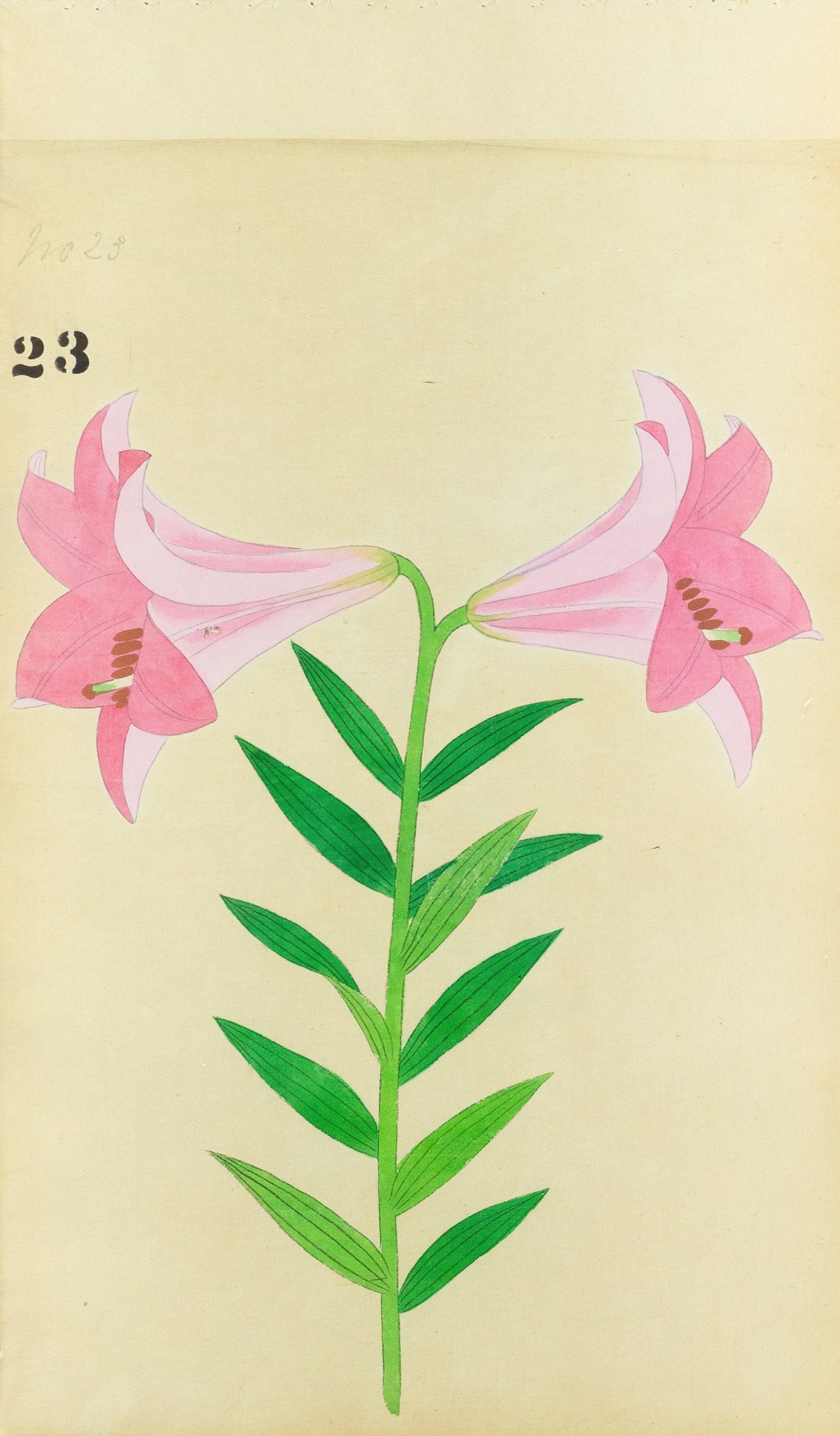 JAPANESE (Late 19th Century) - Lilies 23