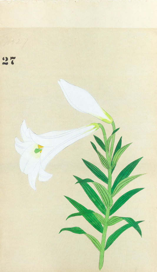 JAPANESE (Late 19th Century) - Lilies 27