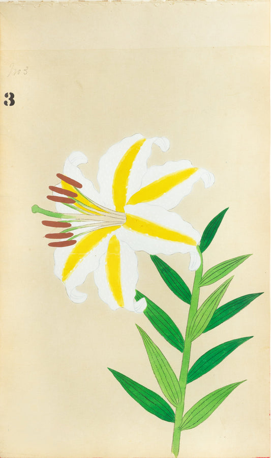 JAPANESE (Late 19th Century) - Lilies 3