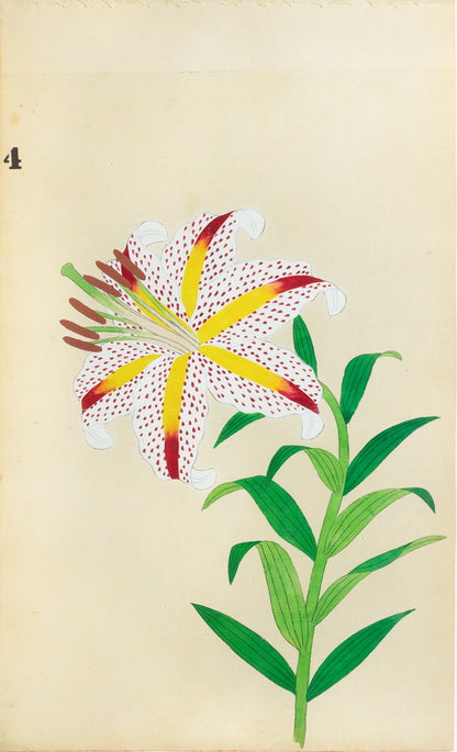 JAPANESE (Late 19th Century) - Lilies 4