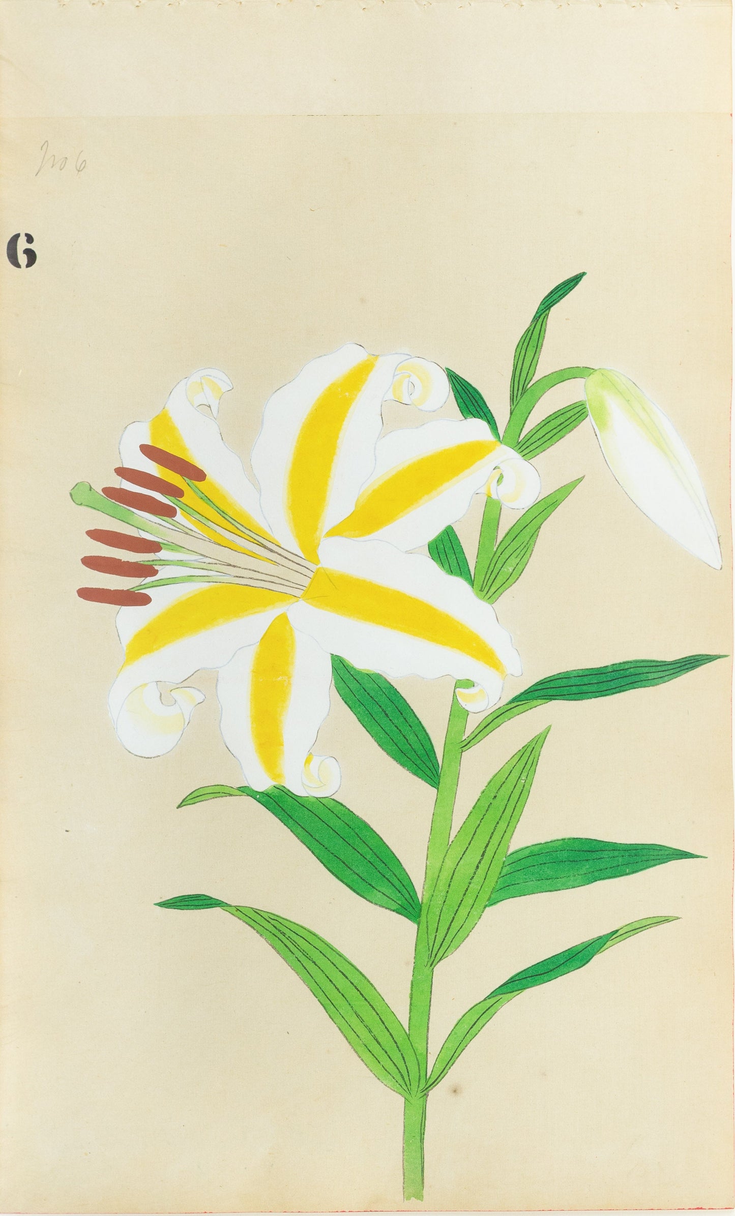JAPANESE (Late 19th Century) - Lilies 6