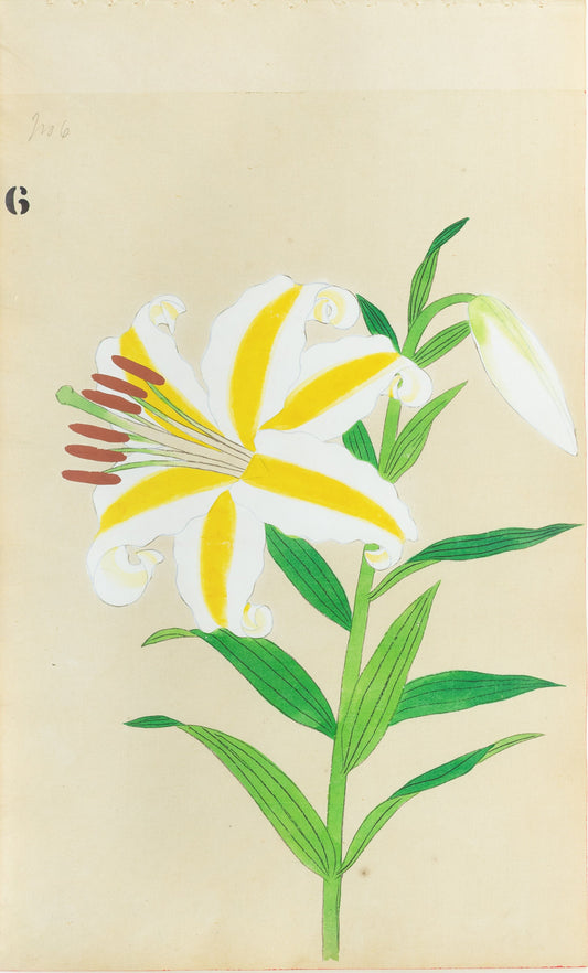 JAPANESE (Late 19th Century) - Lilies 6