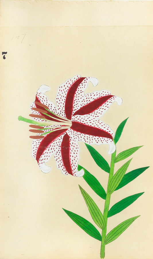 JAPANESE (Late 19th Century) - Lilies 7