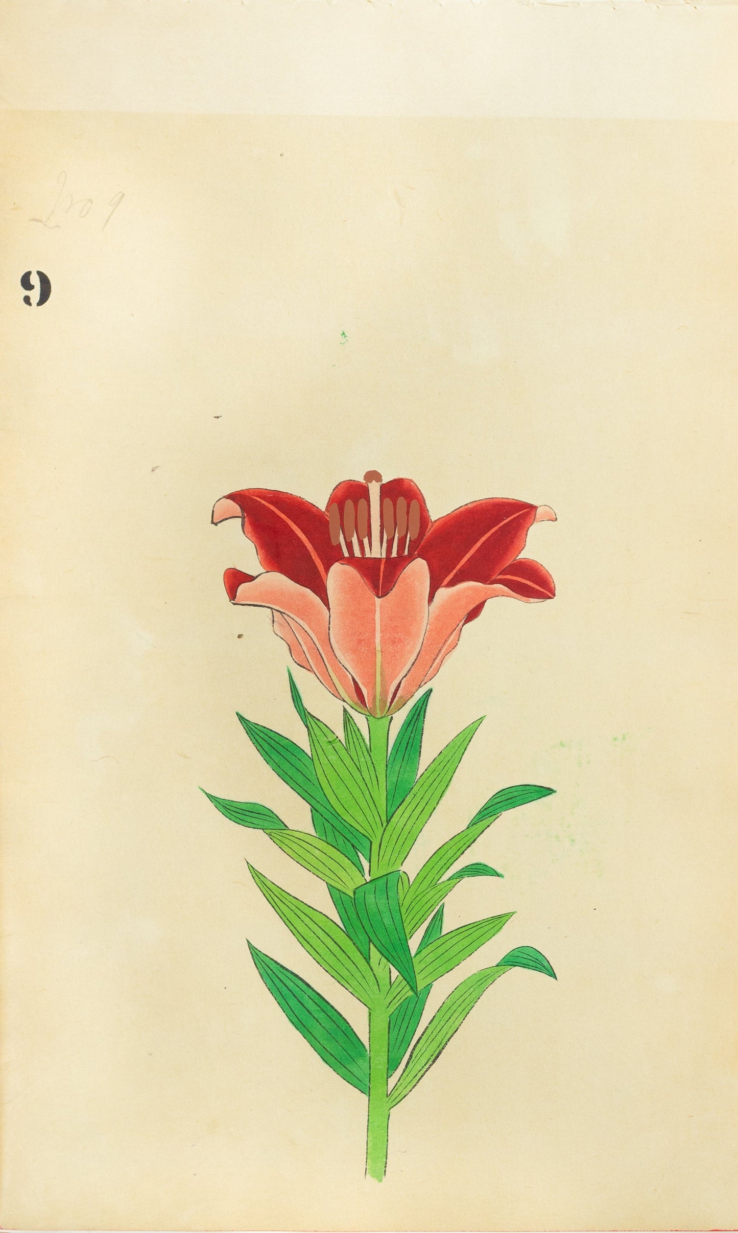 JAPANESE (Late 19th Century) - Lilies 9