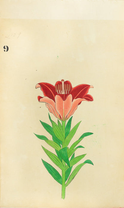 JAPANESE (Late 19th Century) - Lilies 9