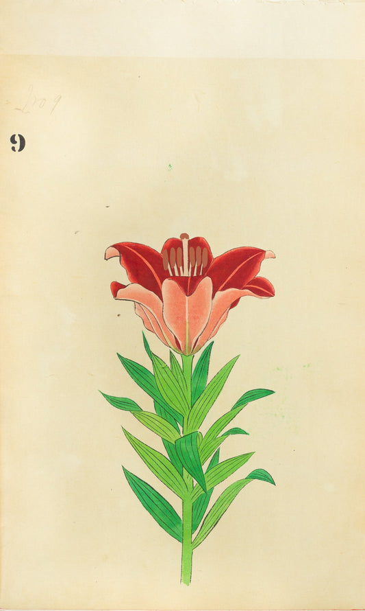 JAPANESE (Late 19th Century) - Lilies 9
