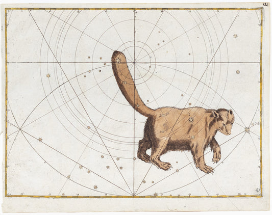 Bayer, Johann. Ursa Minor, 1603