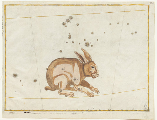 Bayer, Johann. Lepus, 1603