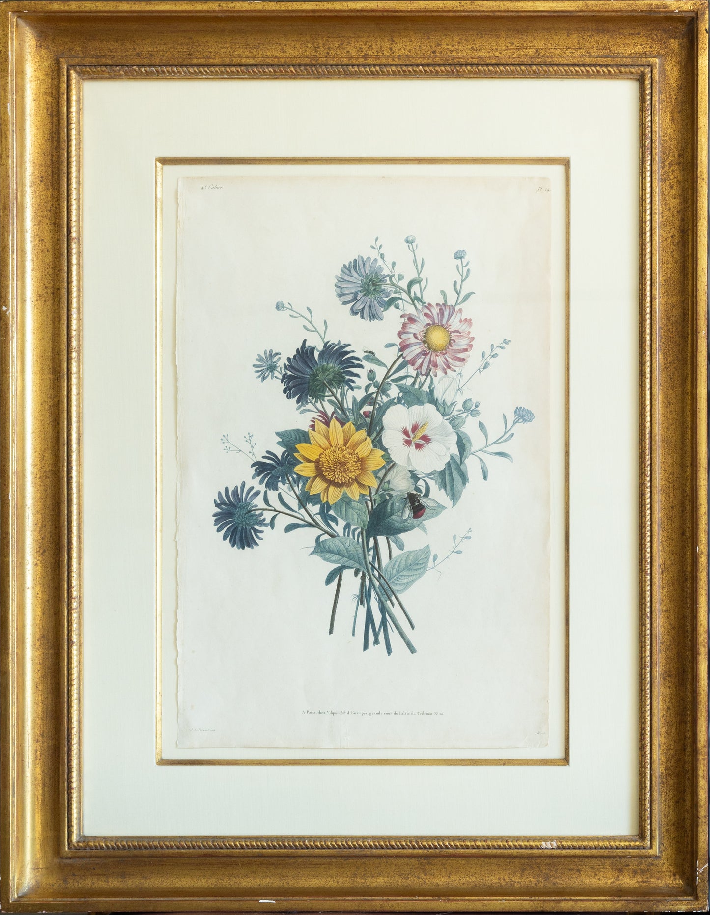 Jean Louis Prevost, Pl. 14 [Bouquet] (Paris, 1805)