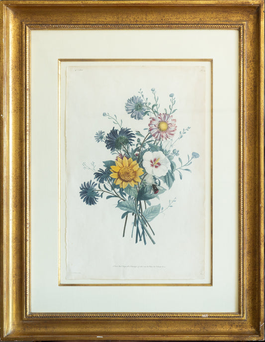 Jean Louis Prevost, Pl. 14 [Bouquet] (Paris, 1805)
