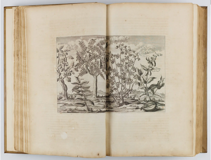 John Ogilby, Africa (London, 1670)