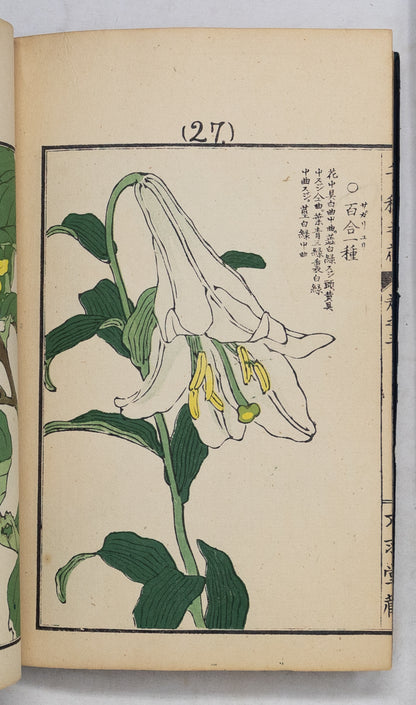 Kono Bairei (1678-1757) Chigusa no Hana [1000 varieties of flowers]