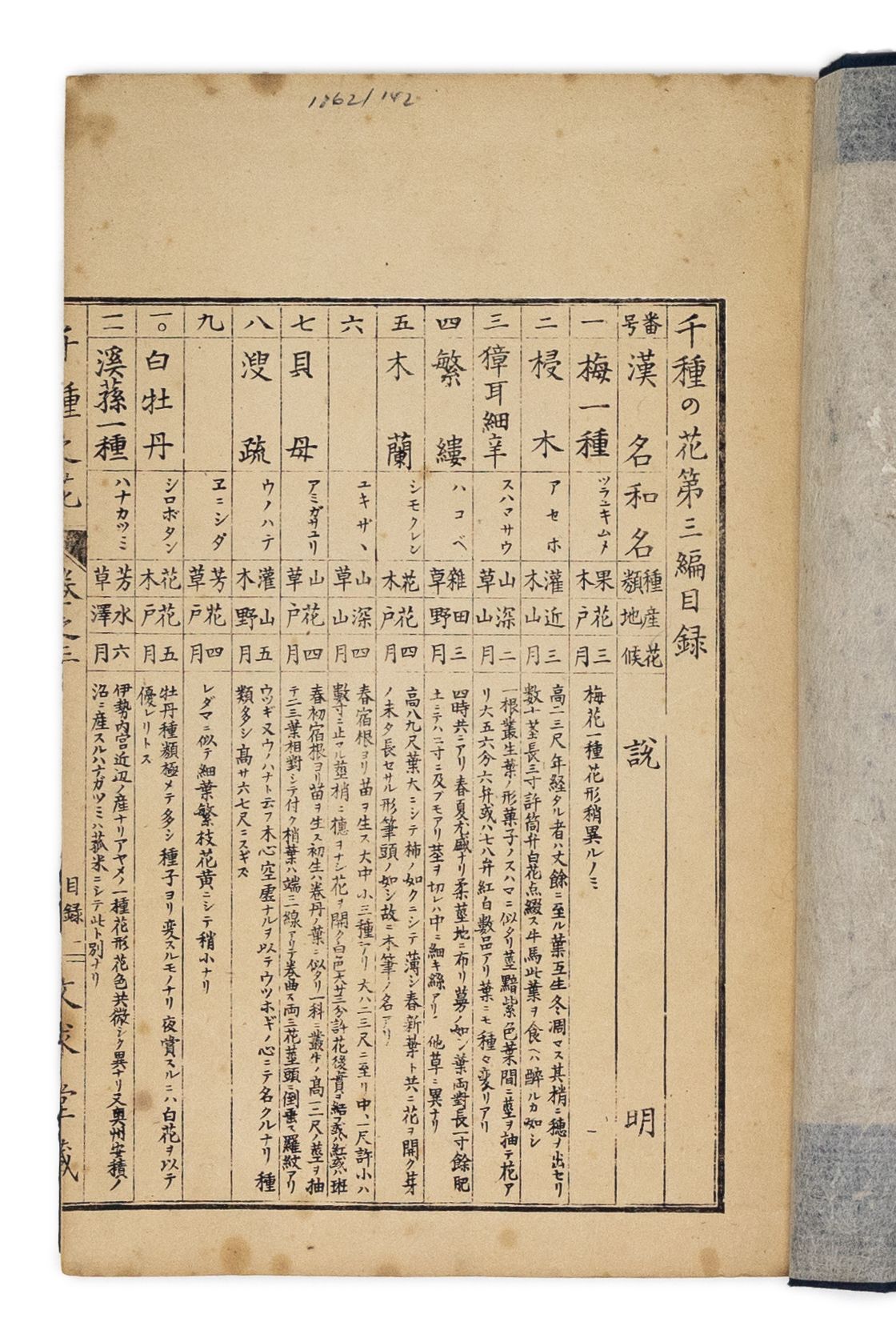 Kono Bairei (1678-1757) Chigusa no Hana [1000 varieties of flowers]