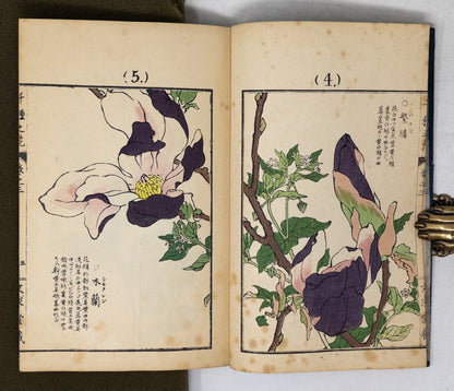 Kono Bairei (1678-1757) Chigusa no Hana [1000 varieties of flowers]