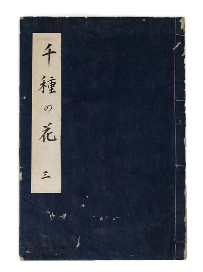 Kono Bairei (1678-1757) Chigusa no Hana [1000 varieties of flowers]