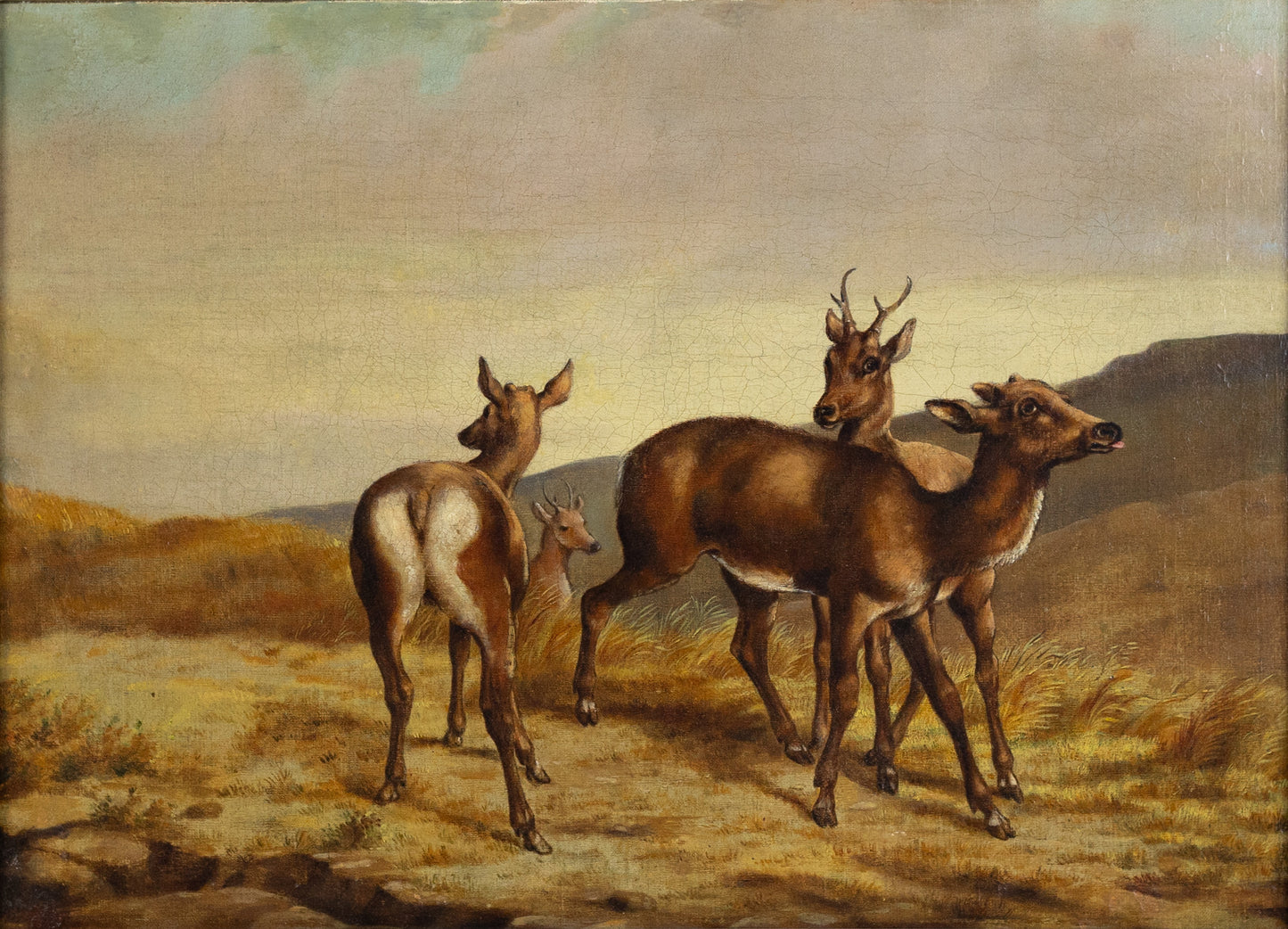 SULLY, Alfred (American, 1820-1879). Deer. 19th c.