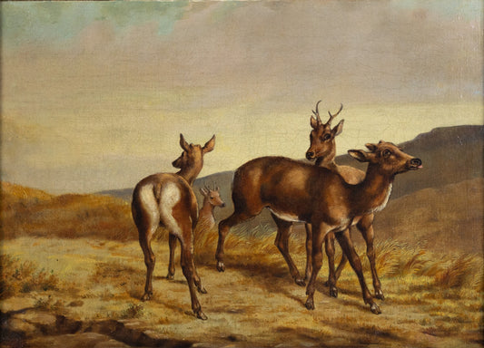 SULLY, Alfred (American, 1820-1879). Deer. 19th c.