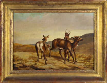 SULLY, Alfred (American, 1820-1879). Deer. 19th c.