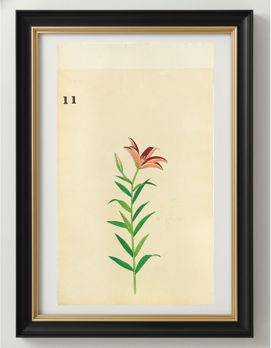 JAPANESE (Late 19th Century) - Lilies 11