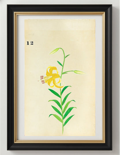 JAPANESE (Late 19th Century) - Lilies 13