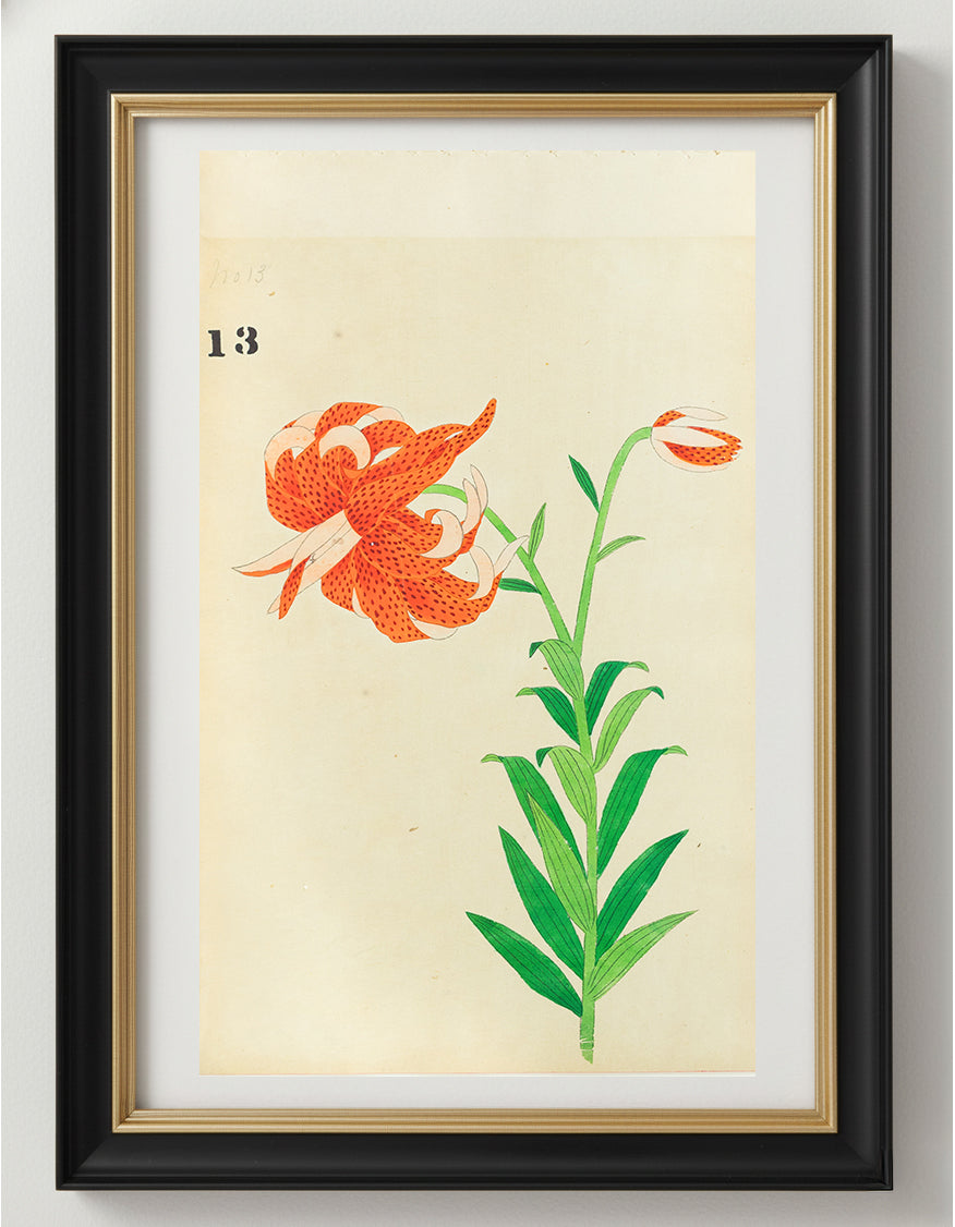 JAPANESE (Late 19th Century) - Lilies 14