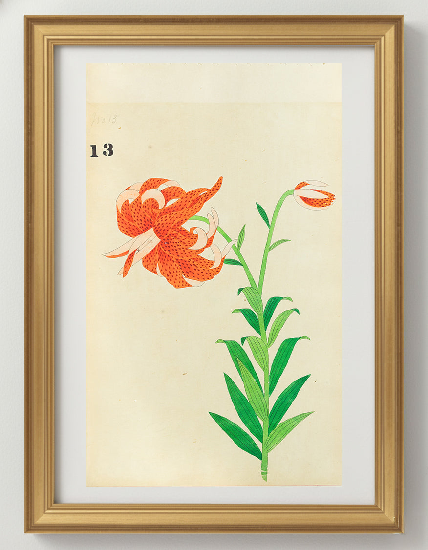 JAPANESE (Late 19th Century) - Lilies 14