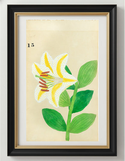 JAPANESE (Late 19th Century) - Lilies 15