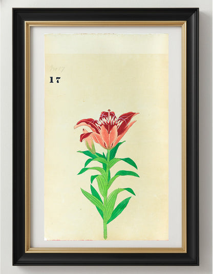 JAPANESE (Late 19th Century) - Lilies 17