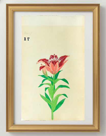 JAPANESE (Late 19th Century) - Lilies 17