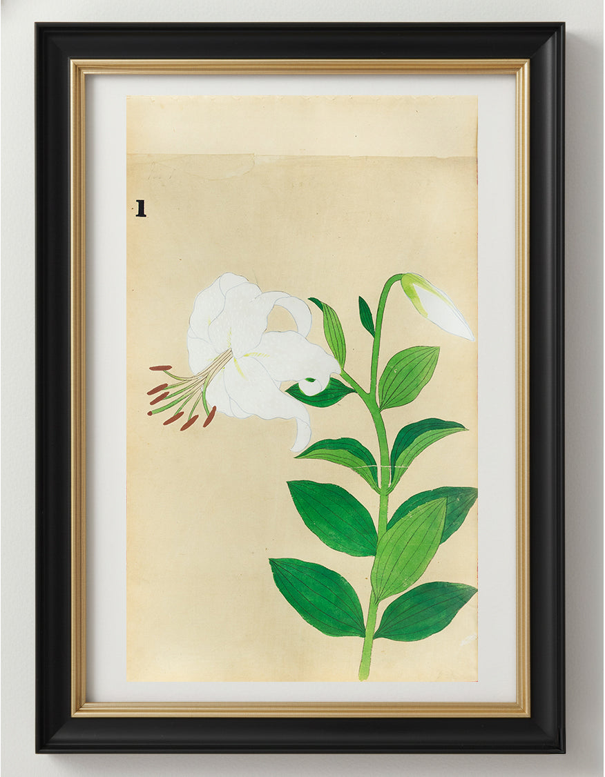 JAPANESE (Late 19th Century) - Lilies 1