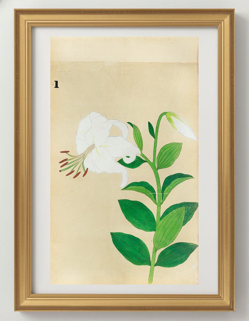 JAPANESE (Late 19th Century) - Lilies 1