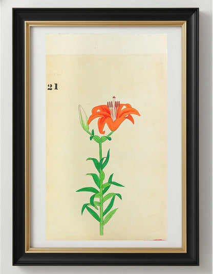 JAPANESE (Late 19th Century) - Lilies 21