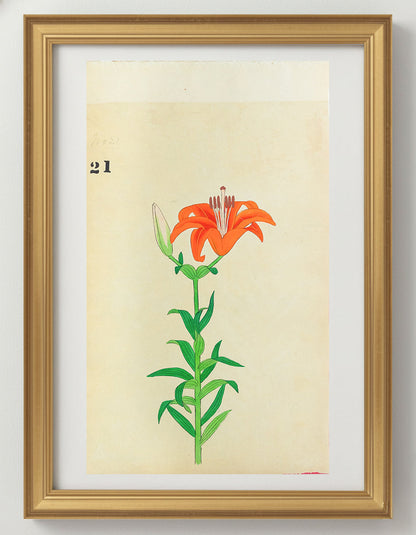 JAPANESE (Late 19th Century) - Lilies 21