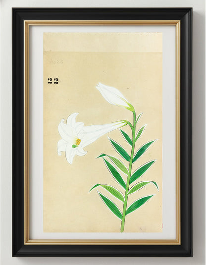 JAPANESE (Late 19th Century) - Lilies 22