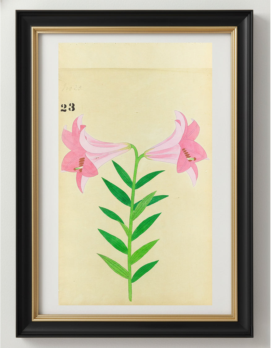 JAPANESE (Late 19th Century) - Lilies 23