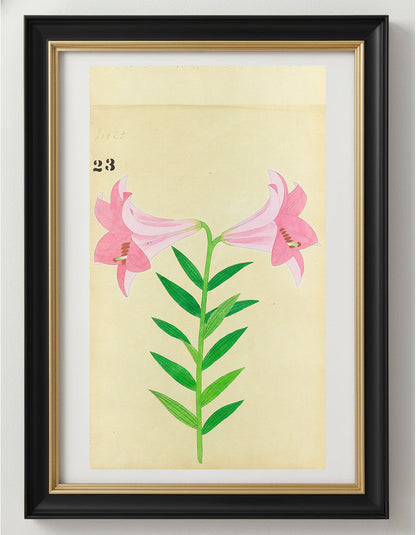 JAPANESE (Late 19th Century) - Lilies 23