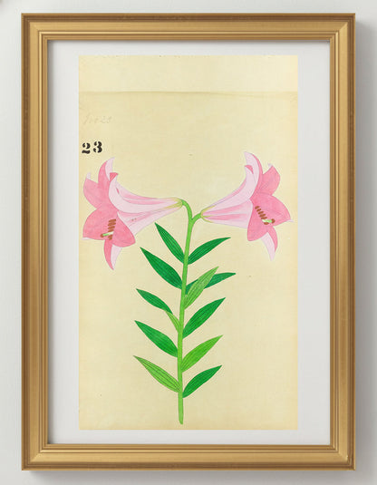 JAPANESE (Late 19th Century) - Lilies 23