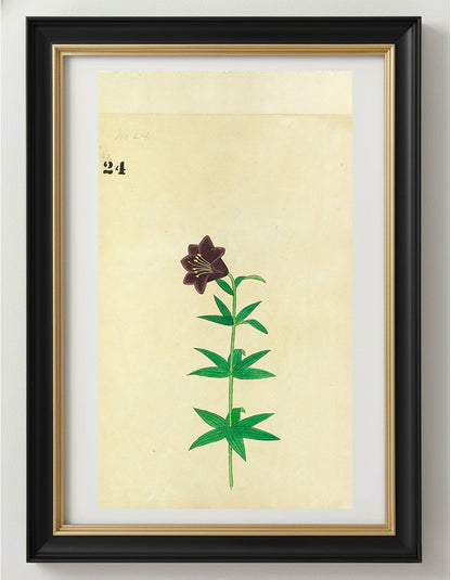 JAPANESE (Late 19th Century) - Lilies 24