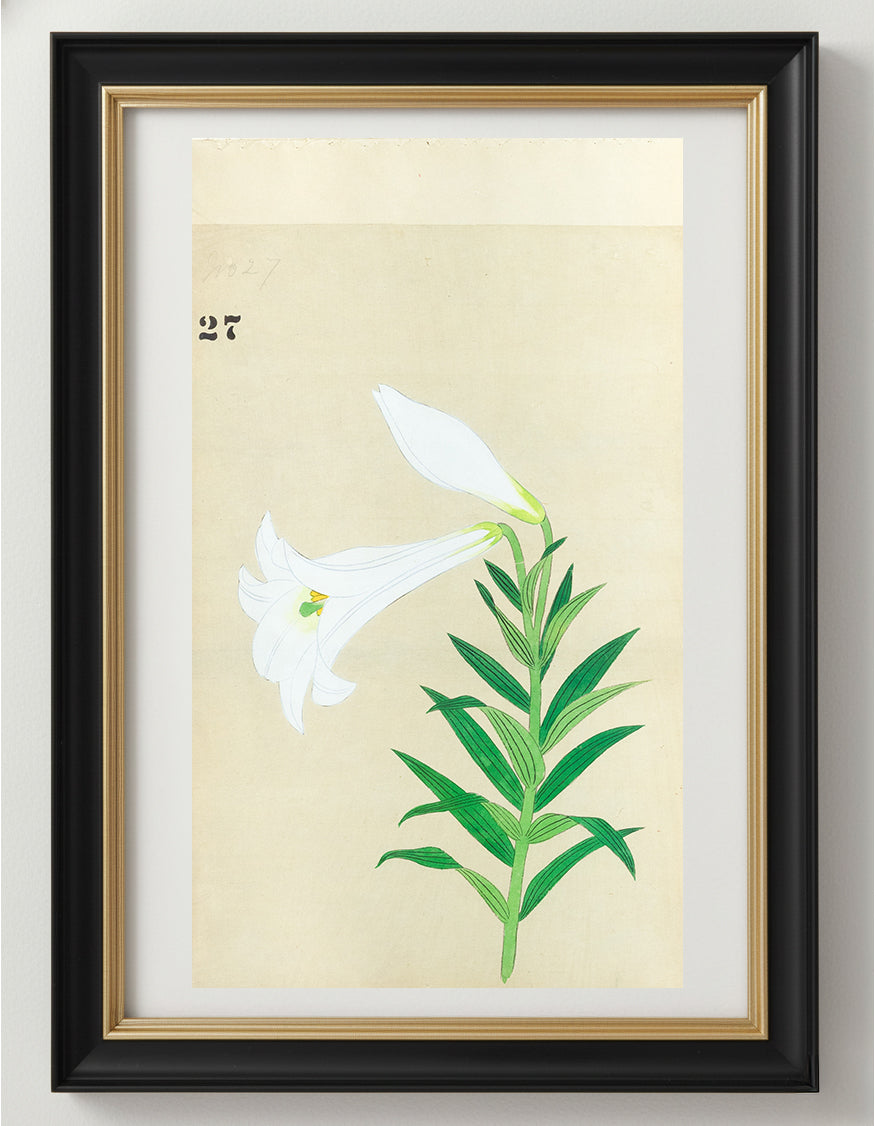JAPANESE (Late 19th Century) - Lilies 27