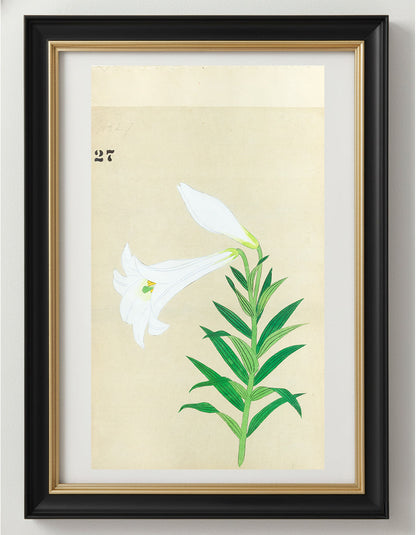 JAPANESE (Late 19th Century) - Lilies 27