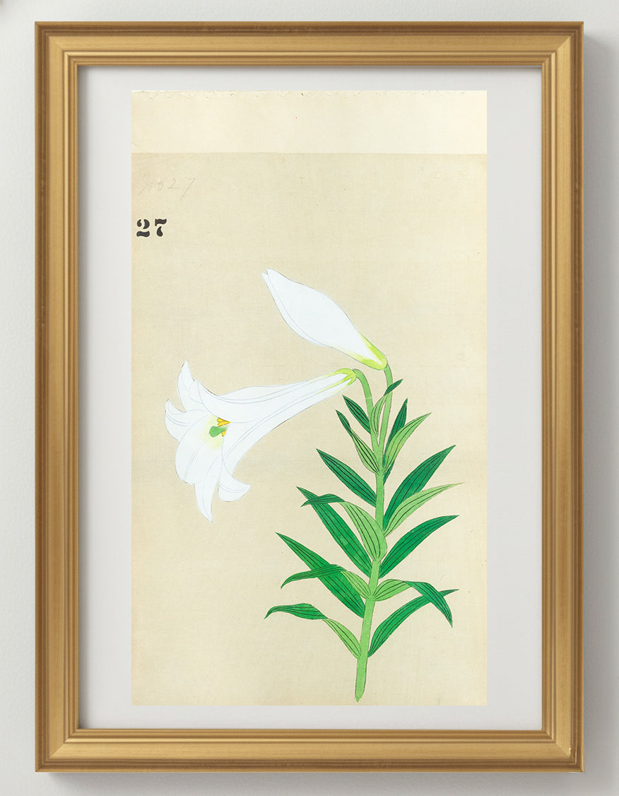 JAPANESE (Late 19th Century) - Lilies 27