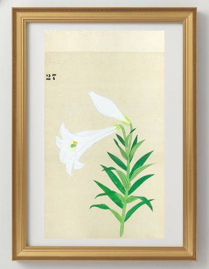 JAPANESE (Late 19th Century) - Lilies 27