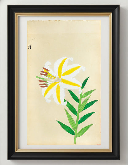 JAPANESE (Late 19th Century) - Lilies 3