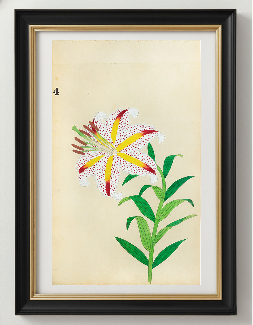 JAPANESE (Late 19th Century) - Lilies 4