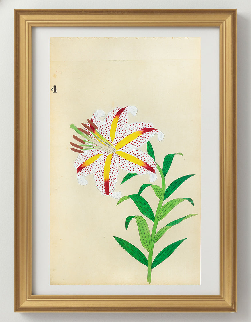 JAPANESE (Late 19th Century) - Lilies 4