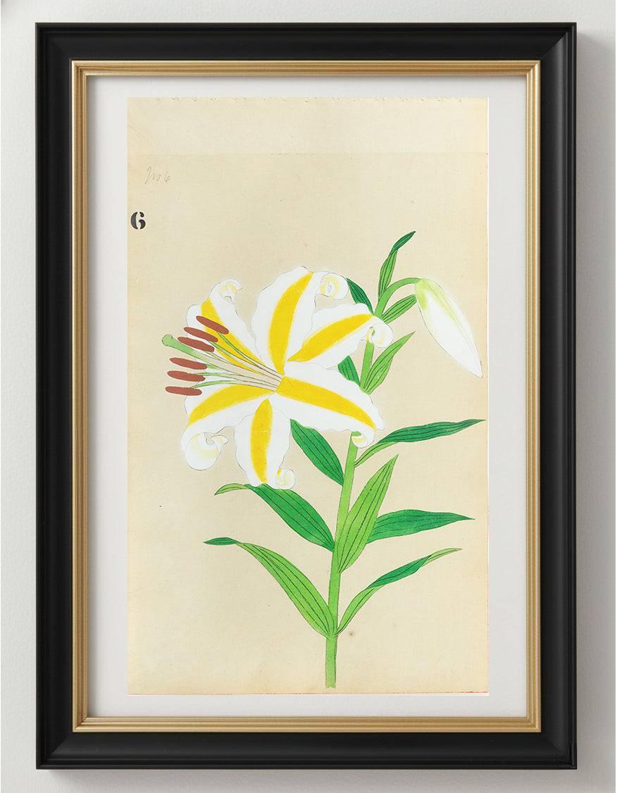 JAPANESE (Late 19th Century) - Lilies 6