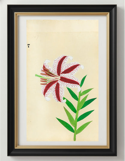 JAPANESE (Late 19th Century) - Lilies 7