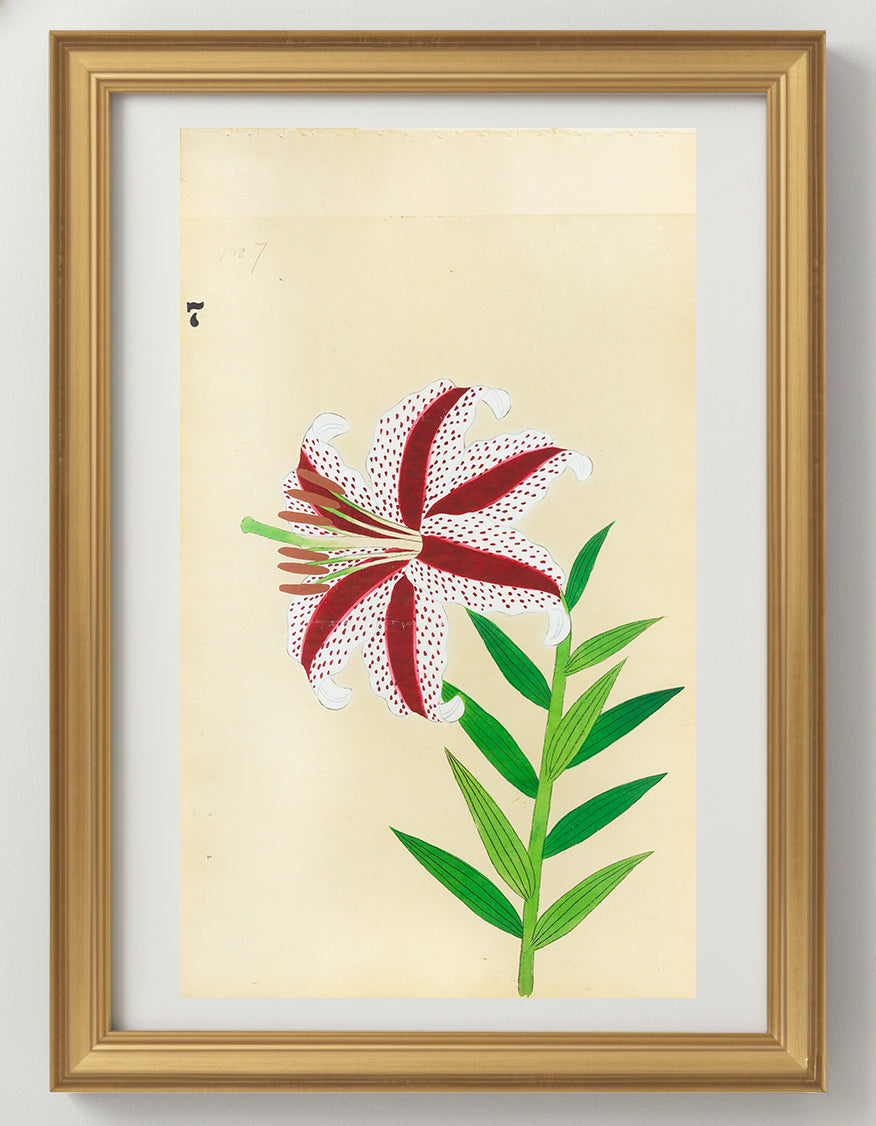 JAPANESE (Late 19th Century) - Lilies 7